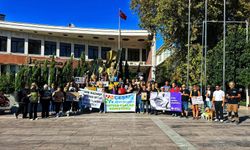 Çeşmeli Hayvanseverler 4 Ekim Dünya Hayvanları Koruma Günü’nde: ‘Yastayız, isyandayız!’