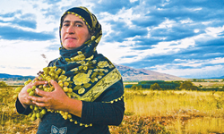 15 Ekim Dünya Kadın Çiftçiler Günü mesajları ve sözleri 2025: Dünya Kadın Çiftçiler Günü nedir?