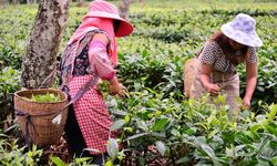 Çiftçinin gözü kulağı Ankara’da: 2026 Nisan ayı mazot ve gübre desteği ne zaman yatacak?