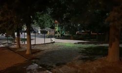 Parkta korkunç saldırı: Uyarıda bulundu, motosiklet kaskıyla öldürüldü!