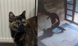 Son dakika! Cezve'yi acımadan öldürmüştü: Cezası belli oldu