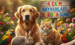 Sevgiyle hatırlayın! 4 Ekim Hayvanları Koruma Günü için en anlamlı mesajlar burada