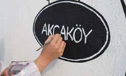 Akçaköy duvarları sanatla yeniden doğdu