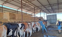 Aydın Nazilli'de alarm! 13 mahalle karantinaya alındı