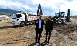 Bornova misketi, köklü geçmişine geri dönüyor