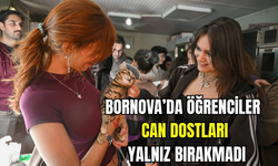 Bornova'da öğrenciler can dostları yalnız bırakmadı