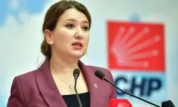 CHP’li Gökçe Gökçen’den sert çıkış: 'Ailemi hedef alan alçaklara sesleniyorum'