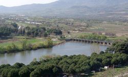 İzmir’in çilek cenneti: Emiralem'e nasıl gidilir? Toplu taşıma gidiyor mu?