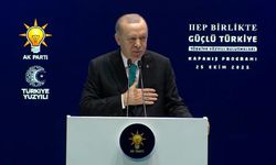 Son dakika! Erdoğan’dan CHP’li belediyelere sert eleştiri: Şikayet listesi çok uzun!