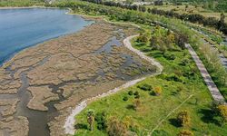 İzmir’de Nisan ayı doğayla buluşma fırsatı: Parklarda etkinlik takvimi açıklandı