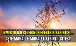 İzmir’de 16 Şubat Pazartesi günü planlı kesinti! Gediz Elektrik duyurdu