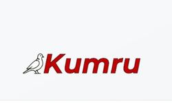 Kumru AI kimin? Yerli yapay zeka modeli sosyal medyada gündem oldu!
