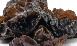 Hasadı neredeyse imkansız! Kilosu servet değerinde