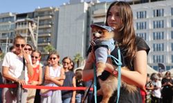 Patilerin Festivali 6’ncı kez İzmirlilerle buluşuyor