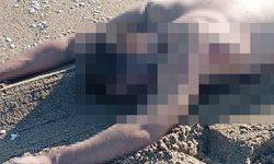 Sakarya’da şok eden olay: Sahilde cansız bedeni bulundu