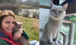 Şanslı, sahibinin hayatını kurtardı! Kedisi sayesinde kanser olduğunu fark etti
