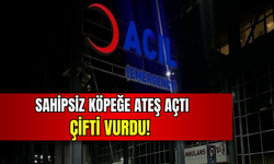 İzmir'de korkunç olay! Sahipsiz köpeğe ateş açan şahıs çifti vurdu