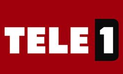 TELE 1'e kayyım olarak atanan İbrahim Paşalı kimdir, nereli, kaç yaşında?