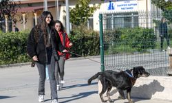 İzmirli hayvansever Çörekçi’nin emanetlerine Büyükşehir sahip çıktı