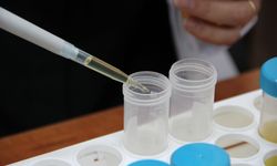 500 milyon dolarlık dev sektörde kritik hamle