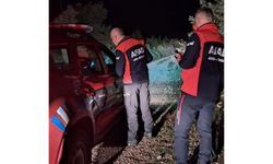 Mantar toplamaya giden vatandaş kayboldu: AFAD seferber oldu