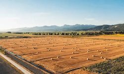 Arsa ve tarla piyasası durdu! İşte en az değerlenen 10 il