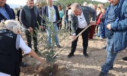 Atatürk’ün vasiyeti Urla’da hayat buldu: İlk fidan dikildi