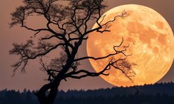 Gözlerinizi gökyüzünden alamayacaksınız! 2025’in en büyük dolunayı bugün