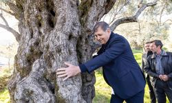 Başkan Tugay Beydağ’da kestane üreticisine destek sözü verdi