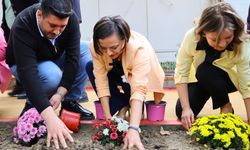 Beç Parkı'nın yeni hali görenleri şaşırttı