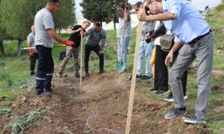 Bornova, susuzluğa karşı çareyi buldu