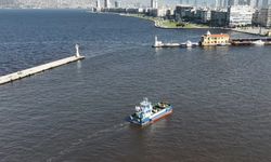 Çevre durum raporu paylaşıldı: İzmir Körfezi’nden balon, lastik, iğne ve at çıktı!