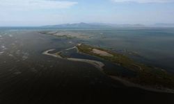 Çilazmak Dalyanı yeniden canlanıyor: İZSU başvurdu, ÇED süreci başladı