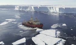 Dünya kıyamet eşiğinde! Bilim insanları uyardı