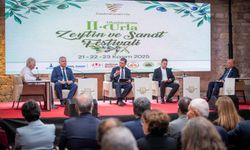 Ege’nin zeytinleri tehlikede! Tugay’dan çarpıcı uyarı