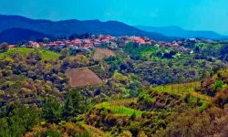 İzmir’in yeni Toscana’sı: Tepeye kurulu köyün eteklerindeki üzüm bağları cezbediyor