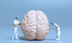 Günde bir porsiyon bile fazla, beyni bozuyor!