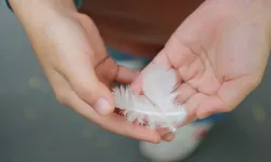 Beyaz tüy görmek ne anlama geliyor?