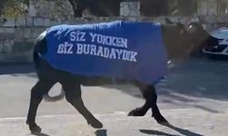 Güzelbahçe’de mandalı protesto: Okul sahibinden ilginç tepki