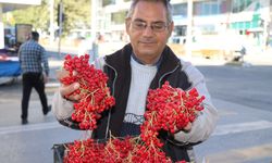 Herkesin konuştuğu meyve: ‘Gençlik İksiri’ tezgahlarda!