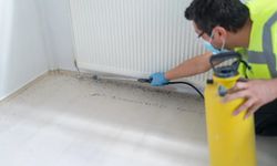 Böcek ilaçları hakkında bilmeniz gerekenler: Yanlış kullanım ölümcül oluyor