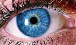 İnsan gözü ve 4K/8K TV: Piksel farkını ayırt edebilir miyiz?