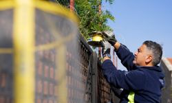 İzmir Büyükşehir’den karasinekle yoğun mücadele başladı