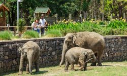 İzmir Doğal Yaşam Parkı ara tatilde dolup taştı