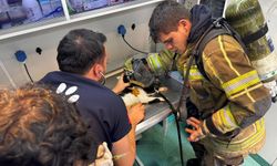 İzmir itfaiyesi can dostların kahramanı oldu