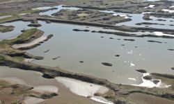 İzmir susuzluğa mı gidiyor? Barajlarda kritik tablo