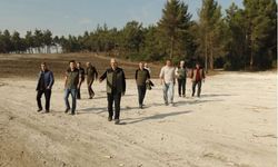 İzmir’de yangın alanı yeniden yeşerecek: Fidanlar toprakla buluşuyor