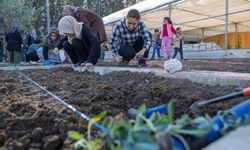 İzmir’in mahalle bostanlarında kış dikimleri heyecanı başladı