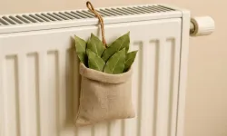 Kalorifer peteğinin üzerine defne yaprağı koyun ve farkı hissedin