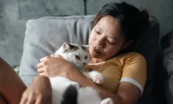 Kedinizin sizi uyandırmasını nasıl engellersiniz? Sabah 5 miyavlamasını bitiren teknik